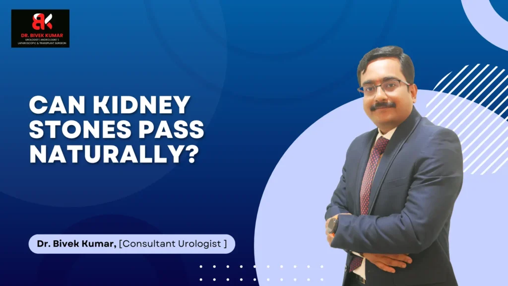 Kidney Stone Specialist in Bellandur
